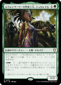 card314445-series205515-rarity323476