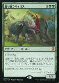 card304009-series205515-rarity323477
