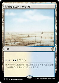 card309512-series205515-rarity323476