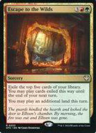 card_296586_series_207146_rarity_323476_