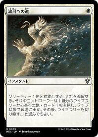 card304260-series208024-rarity323478