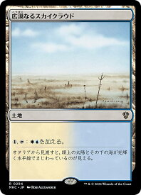 card309512-series208024-rarity323476