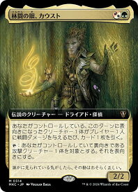 card329750-series208024-rarity323477