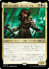 card330144-series208405-rarity323476
