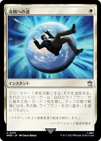 card304260-series208771-rarity323478