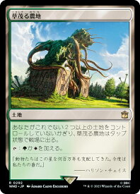 card294156-series208771-rarity323476