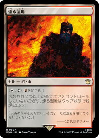 card300190-series208771-rarity323476