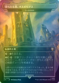 card310455-series209532-rarity323477