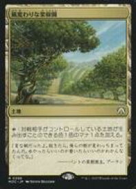 card304387-series209908-rarity323476