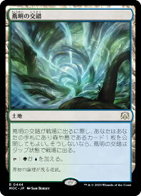 card294930-series209908-rarity323476