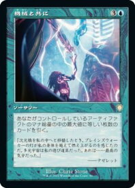 card315055-series210750-rarity323476