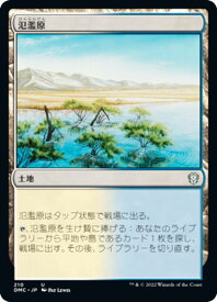 card312739-series211276-rarity323478