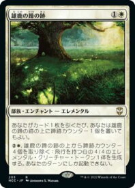 card305291-series211496-rarity323476