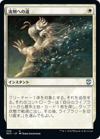 card304260-series211496-rarity323478