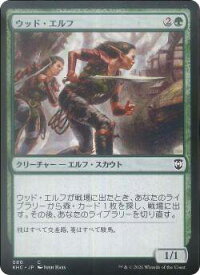 card311573-series212815-rarity323480