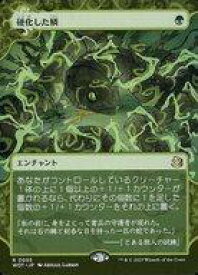 card300799-series213132-rarity323476