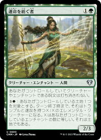 card296282-series179932-rarity323478