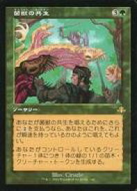 card310030-series180401-rarity323476