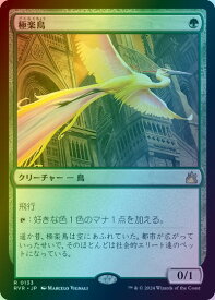 card306836-series179696-rarity323476