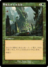 card306855-series179696-rarity323476