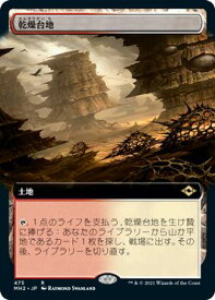 card304042-series181242-rarity323476