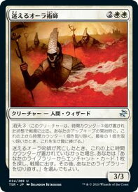card305582-series181346-rarity323478