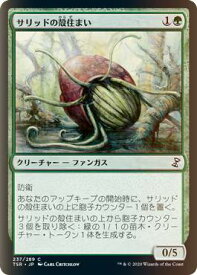 card306142-series181346-rarity323480