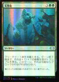 card316029-series181672-rarity323478