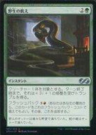 card302569-series217814-rarity323478