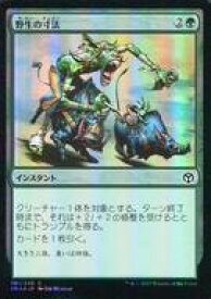 card306616-series218317-rarity323480