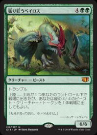 card304009-series221794-rarity323477