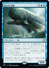 card314314-series180792-rarity323476