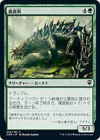 card303314-series224087-rarity323480