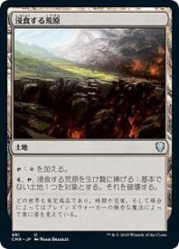 card316086-series224087-rarity323478