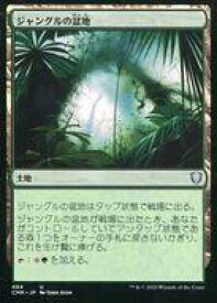 card312410-series224087-rarity323478