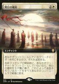 card345851-series224087-rarity323476