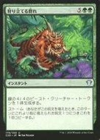 card308382-series224803-rarity323478