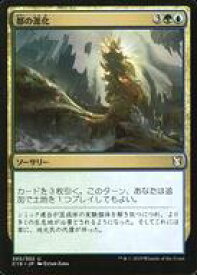 card301874-series225125-rarity323478