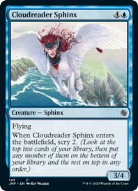 card297566-series226878-rarity323480