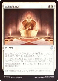 card392863-series271337-rarity323478