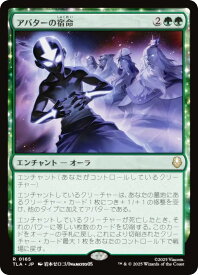 card393011-series271337-rarity323476