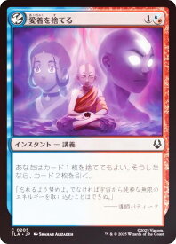 card393051-series271337-rarity323480