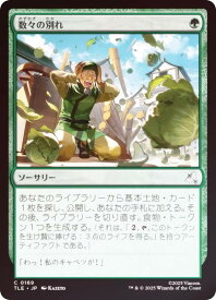 card335116-series271725-rarity323480