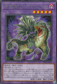 card2097-series4447-rarity62