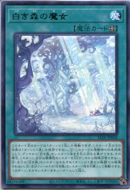 card284-series402-rarity62