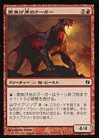 card308345-series301759-rarity323480