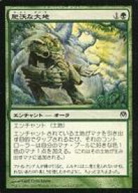 card305481-series302076-rarity323480