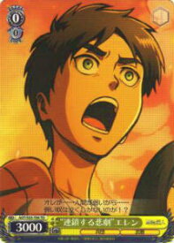 card514110-series384691-rarity557066