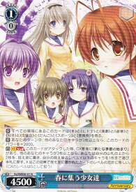 card516365-series387266-rarity559585