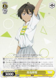 card519336-series390243-rarity557066